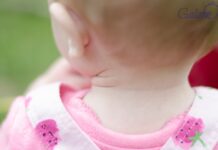 26 filles portent un prénom inattendu : les prénoms israéliens inspirés des montagnes en lien avec Tou Bishvat