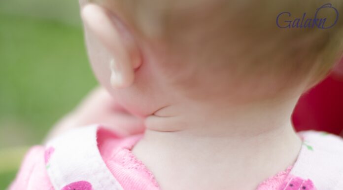 26 filles portent un prénom inattendu : les prénoms israéliens inspirés des montagnes en lien avec Tou Bishvat