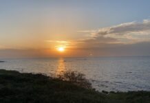 Israël suffoque : canicule extrême, orages locaux, poussière et même… un peu de pluie