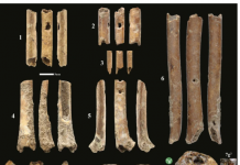 La plus ancienne flûte du monde trouvée dans la vallée de Hula