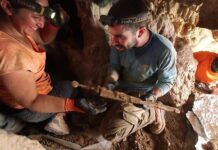 Des épées trouvées dans des grottes du désert de Judée classées : histoire archéologique la plus passionnante de 2023