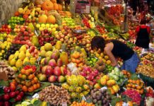 Des fruits secs pour Tou Bichvat en Israel ? Il vaut mieux eviter…c’est ce qu’il est important de savoir