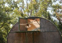 Prendre soin des animaux sauvages en temps de guerre en Israel