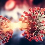 Covid-19 : le virus capable de « réveiller » des cellules cancéreuses dormantes et d’accélérer la formation de métastases