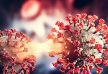 Covid-19 : le virus capable de « réveiller » des cellules cancéreuses dormantes et d’accélérer la formation de métastases