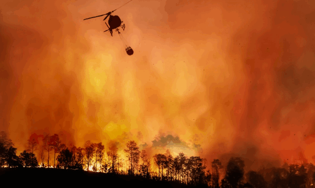 Israël se prépare à l’urgence climatique : le ministère de la Santé sonne l’alarme