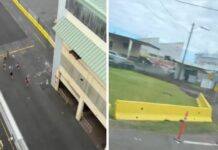 Panique à Hawaï : une croisière abandonne 600 passagers face à l’alerte tsunami