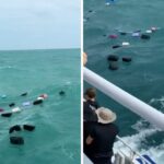 En Thaïlande, des vagues géantes emportent les bagages : chaos en mer, passagers choqués et touristes israéliens bloqués