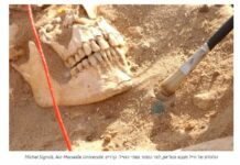 Les morts de la Grande Armée : l’ADN des soldats de Napoléon révèle les vraies causes de la tragédie de 1812