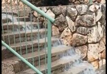 Des arbres et des poteaux de feux tricolores s’effondrent : des vents et des pluies d’une intensité extrême dans le centre et le nord d’Israël