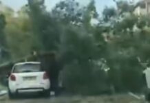 Alerte météo exceptionnelle en Israël : vents violents, tempêtes de sable et inondations attendus