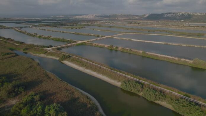 istockphoto-1730101839-640x640