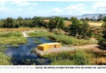 Vous vous souvenez de la « Horshat HaEucalyptus » ? Voici ce qu’elle est devenue aujourd’hui