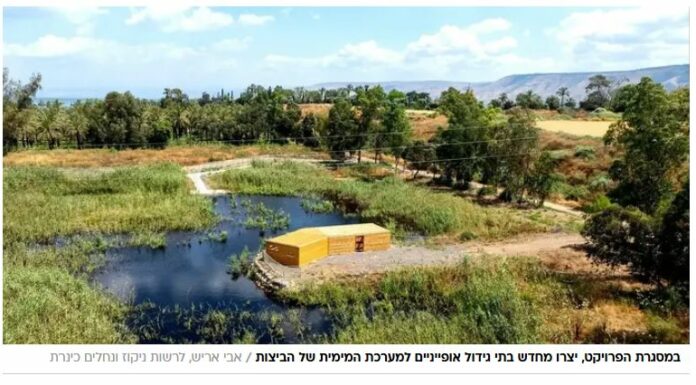 Vous vous souvenez de la « Horshat HaEucalyptus » ? Voici ce qu’elle est devenue aujourd’hui