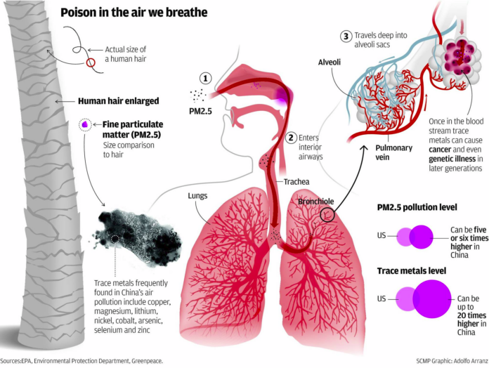 Fig-1-right-new-alternative-PM-2-5-in-lungs
