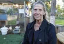 D’un cancer du poumon avec métastases cérébrales à une guérison complète