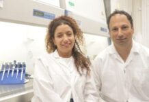 Une découverte de l’Université de Tel Aviv ouvre une nouvelle voie contre les cancers résistants à l’immunothérapie