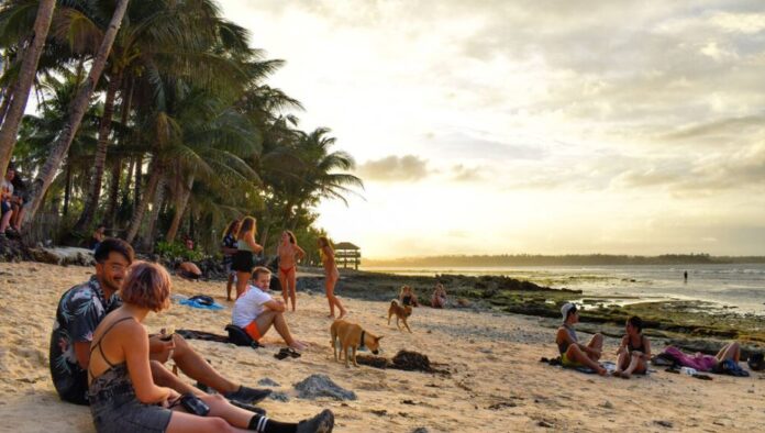 plage chiens