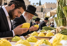 Sukkot 2026 : quand la beauté devient une expression de soi