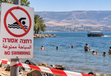 Amibe tueuse au Kinneret : comment se protéger et reconnaître les signes d’alerte